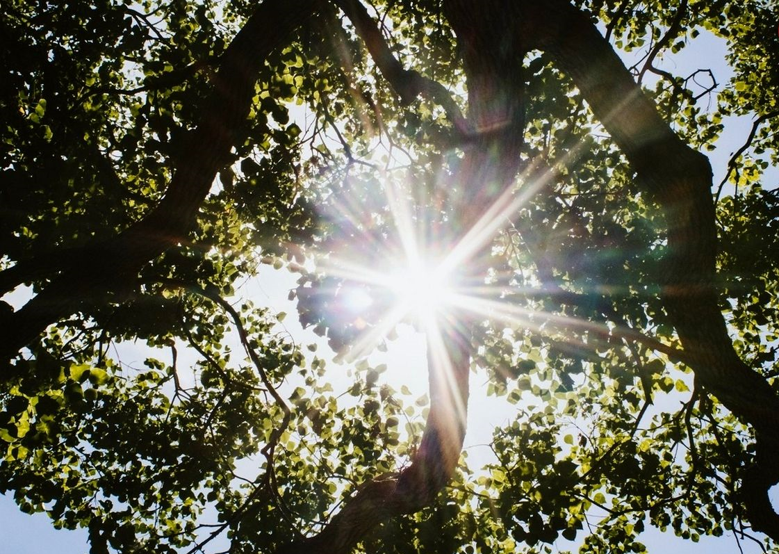 1697360615 84 خواب نابیناها چه رنگی است؟