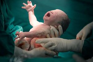 بزرگترین اختراع در تاریخ بشریت، چگونه بدن زنان ۲۰۰ میلیون سال تکامل بشر را هدایت کرد؟