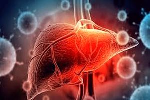 تاثیر باورنکردنی یک ویتامین در درمان کبد چرب