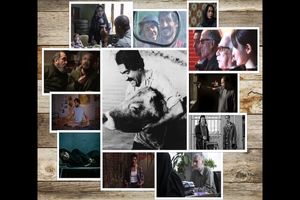 فیلم‌های مهرجویی، کیارستمی و دیگران در استرالیا