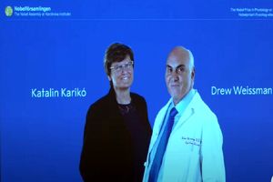 نوبل پزشکی ۲۰۲۳ به محققان حوزه واکسن کرونا تعلق گرفت