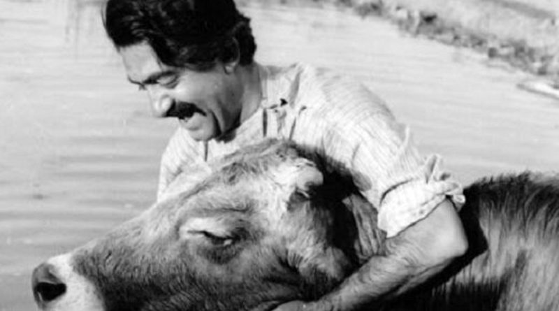 «گاو» با چند هزار تومان ساخته شد؟