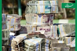 خلق نقدینگی به ۸ هزار هزار میلیارد تومان می رسد/ رضد اقتصادی در 12 سال گذشته صفر بوده است