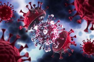 وزیکول‌ها به مقابله با عفونت‌های ویروسی آمدند