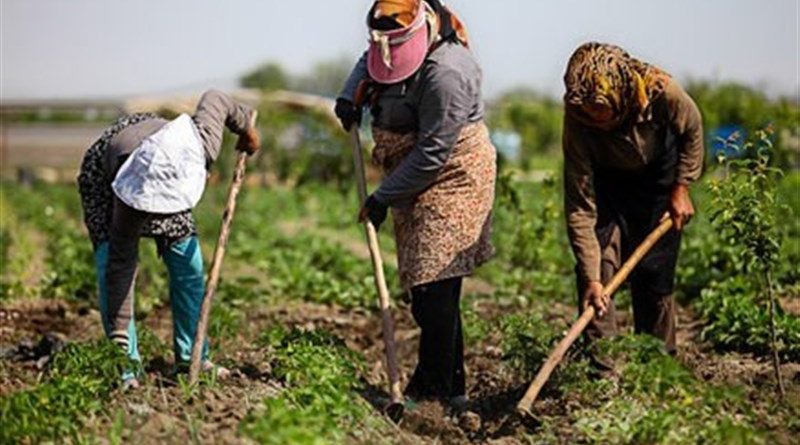 21 هزار میلیارد تومان وام اشتغال روستایی پرداخت شد