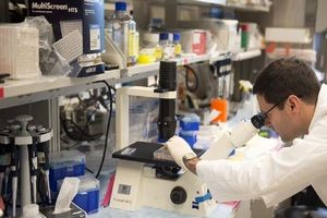 پروتئین خنک‌کننده به جنگ سرطان روده می‌آید