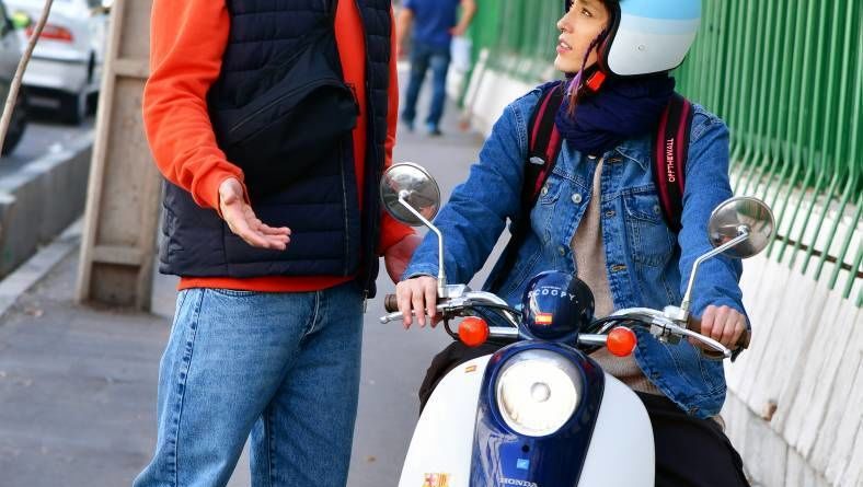 از نوید محمدزاده تا امیر جعفری در «جنگل آسفالت»