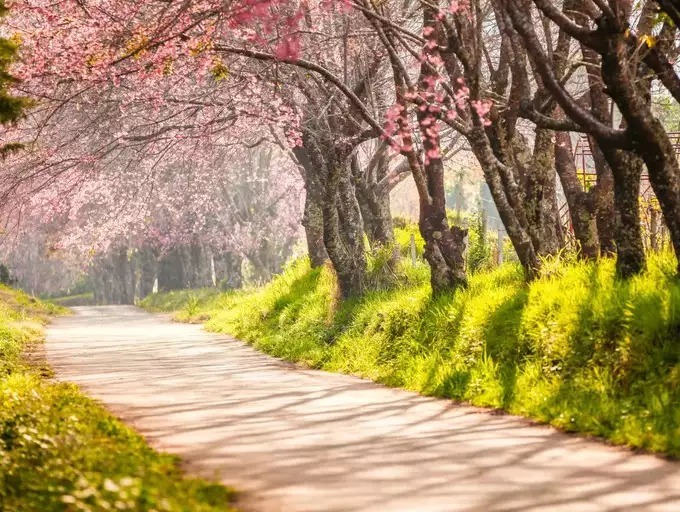 با 6 تکنیک کهن ژاپنی زندگی و روابط تان را منقلب کنید_صبح سریع 3 ناپایداری طبیعت و زندگی