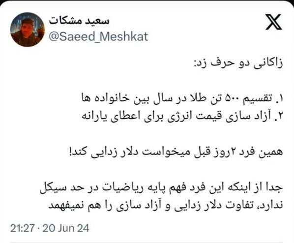 واقعا می‌توان در سال ۲۰ گرم طلا به هر خانوار داد؟/ الحسینی: فاجعه است این وعده!