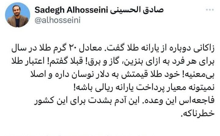 واقعا می‌توان در سال ۲۰ گرم طلا به هر خانوار داد؟/ الحسینی: فاجعه است این وعده!