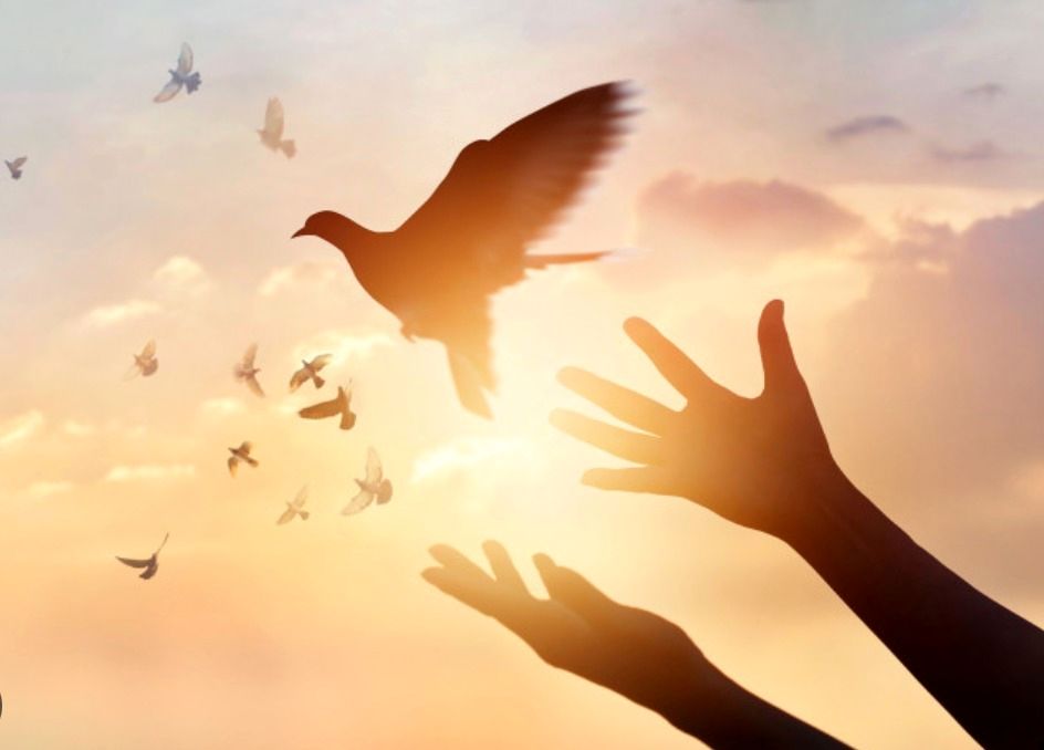 چطور خود را ببخشیم و قبل را پشت سر بگذاریم؟_صبح سریع 13 چگونه خود را ببخشیم و گذشته را پشت سر بگذاریم؟