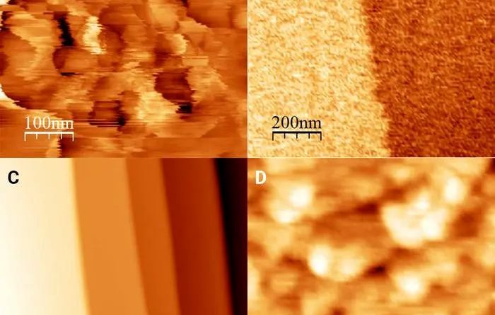 دانشمندان برای اولین بار یک میکروسکوپ را منجمد کردند