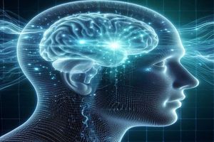 نشانه عصبی OCD، اختلال وسواس فکری-عملی، در مغز انسان شناسایی شد