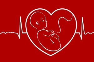 سازماندهی مجدد مغز زنان در دوران بارداری