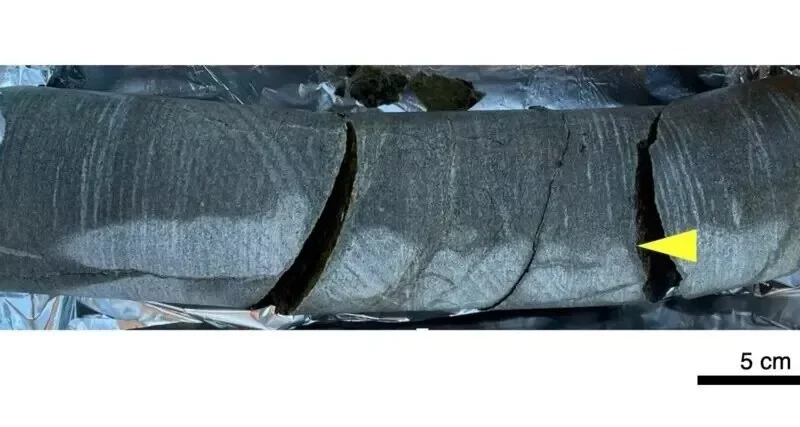 میکروب‌های باستانی در دل سنگ دو میلیارد ساله‌