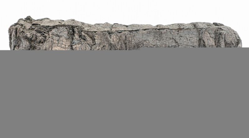 چهار کشف مهم سال ۲۰۲۴ که تنها به لطف هوش مصنوعی ممکن شدند/ ترجمه