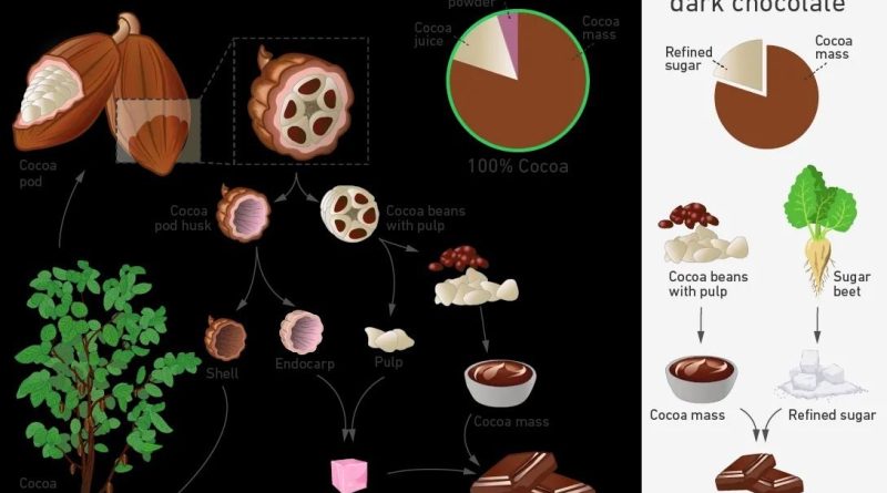 دانشمندان روش جدیدی برای ساخت شکلات کشف کردند