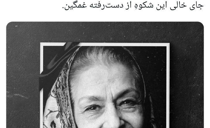 photo_2024-12-24_19-24-13