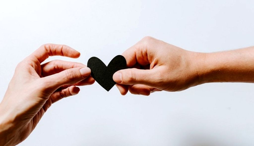 1738097498 530 انتخاب های رنگی و زناشویی صبح سریع