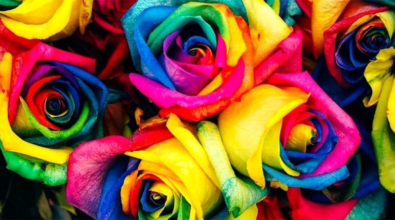 انتخاب های رنگی و زناشویی