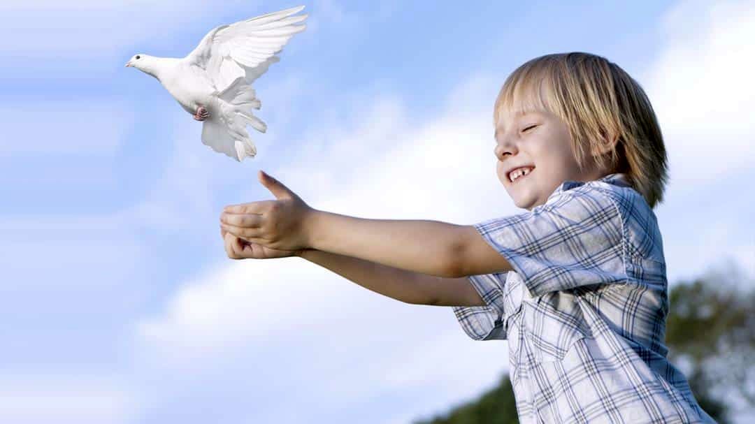 1743611359 722 چطور کودکی اجتماعی پرورش کنیم؟ ۷ راهکار موثر برای