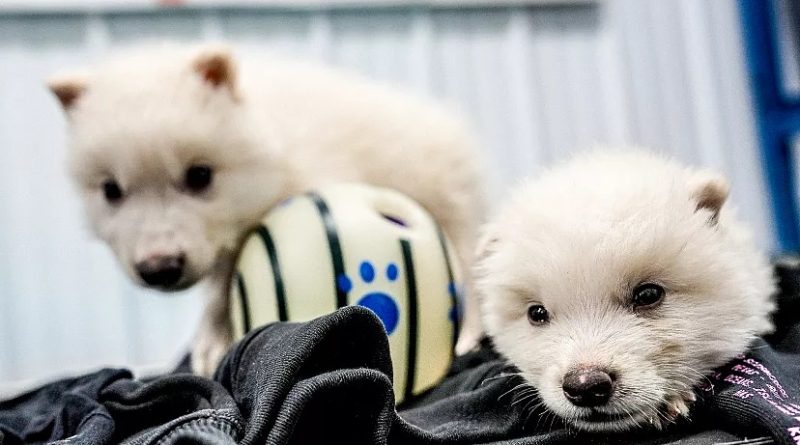 newspaperimgl_10615_1