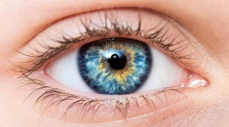 راز چشم‌های آبی فاش شد: همه به یک انسان اولیه اروپایی بازمی‌گردند