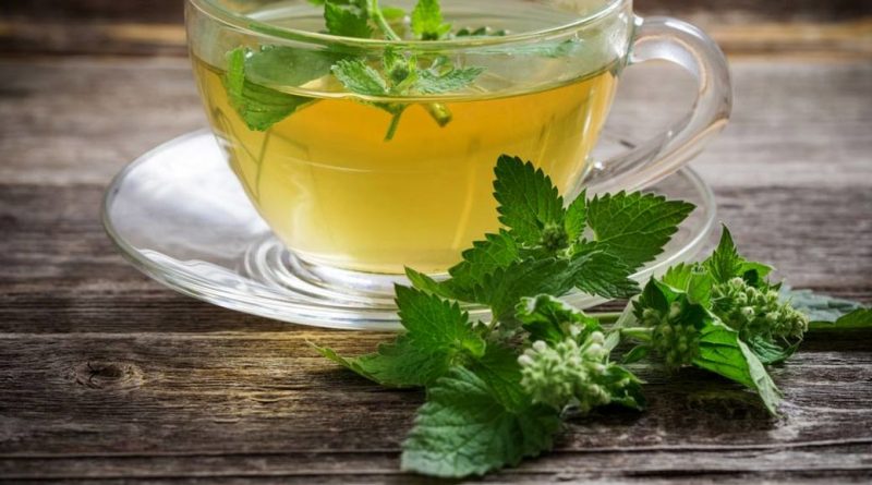 قوی ترین داروی ضد استرس/ ویدئو