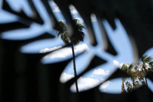 کن ۲۰۲۵؛ آغازی جنجالی با ممنوعیت برهنگی بر فرش قرمز