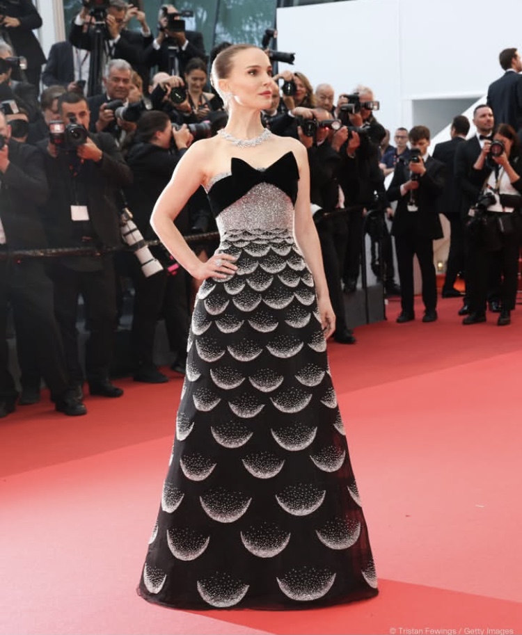 قاب هایی دیدنی از جشنواره کن 2025/ گزارش تصویری_صبح سریع 115 F2EF0AA5 C8B8 43CD 8300 546928BFF4E4