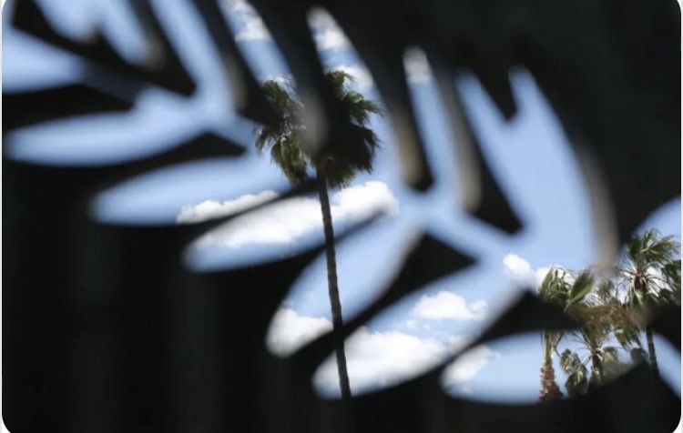 قاب هایی دیدنی از جشنواره کن 2025/ گزارش تصویری_صبح سریع 119 A45CBE63 5D2A 4996 B21D 7AFBBA96E427