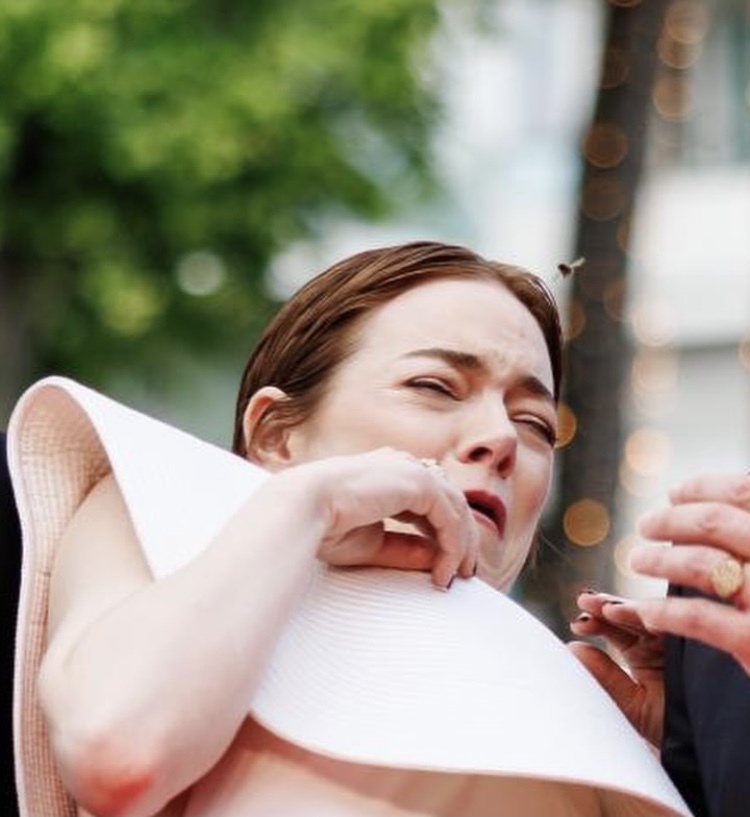 قاب هایی دیدنی از جشنواره کن 2025/ گزارش تصویری_صبح سریع 142 8C3FD05E AF48 4796 AFC0 9C313ADA911D