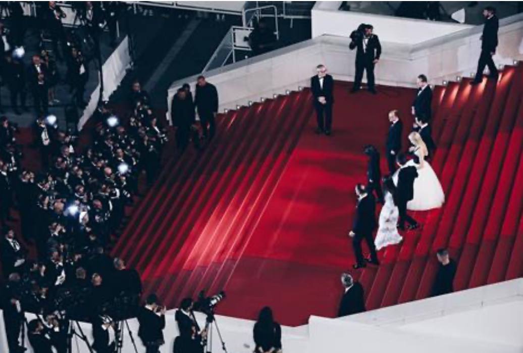 قاب هایی دیدنی از جشنواره کن 2025/ گزارش تصویری_صبح سریع 157 B5B27043 B9C2 431B B362 8294A392B897