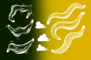 کرم‌های الگانس، مرگ را بو می‌ کشند