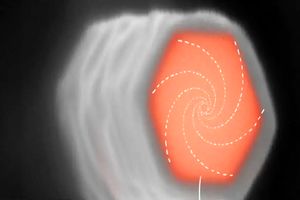 کشف تاریخی حالت‌های کوانتومی پنهان پس از ۶۰ سال