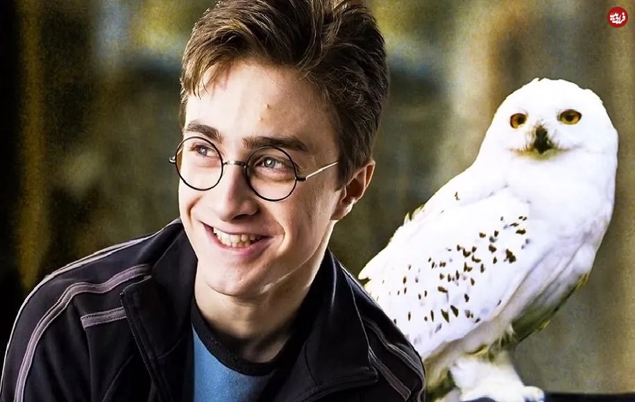 ۶. «هری پاتر»