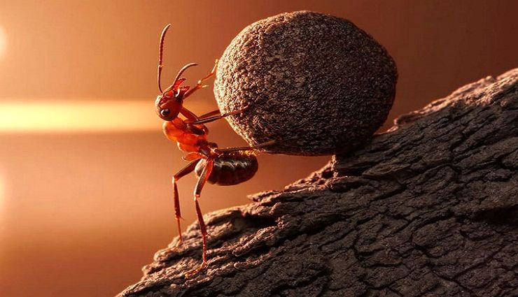 تاب آوری در جنگ