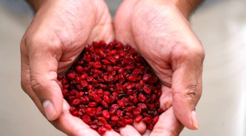 گنجینه‌ای سرخ با خواص شگفت‌انگیز