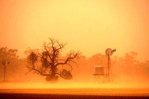 تاب آوری در روزهای غبارآلود؛ از حفاظت فردی تا مراقبت های محیط زندگی