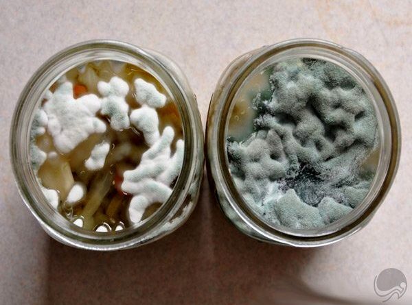 آیا لایه‌ای که بر سطح آبلیموی خانگی ایجاد می‌شود، بی‌خطر است؟