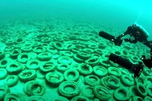 راز صدای وهم آلود زنی در اعماق دریا چیست؟