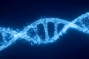 انسان احتمالاً در ژن‌های خود دارای ابرقدرت‌های خواب زمستانی است