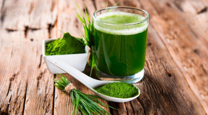 آیا قرص‌های جلبک واقعاً لاغر می کنند؟/ این قرص‌ها برای چه کسانی منع مصرف دارند؟