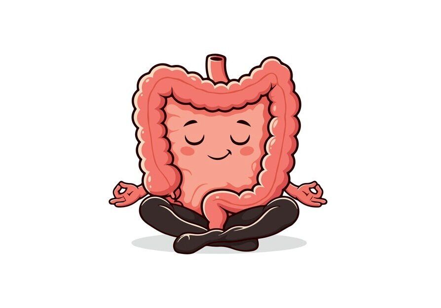 هر اندام دوستدار چه ورزشی است؟/ بررسی علمی تأثیر ورزش بر اندام‌های حیاتی؛ از پیاده‌روی تا خنده و مدیتیشن