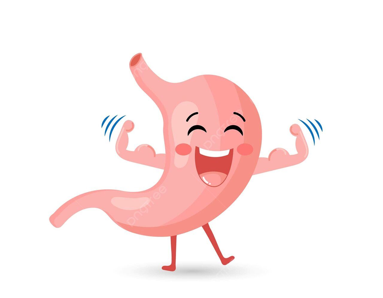 هر اندام دوستدار چه ورزشی است؟/ بررسی علمی تأثیر ورزش بر اندام‌های حیاتی؛ از پیاده‌روی تا خنده و مدیتیشن