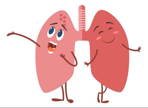 هر اندام دوستدار چه ورزشی است؟/ بررسی علمی تأثیر ورزش بر اندام‌های حیاتی؛ از پیاده‌روی تا خنده و مدیتیشن