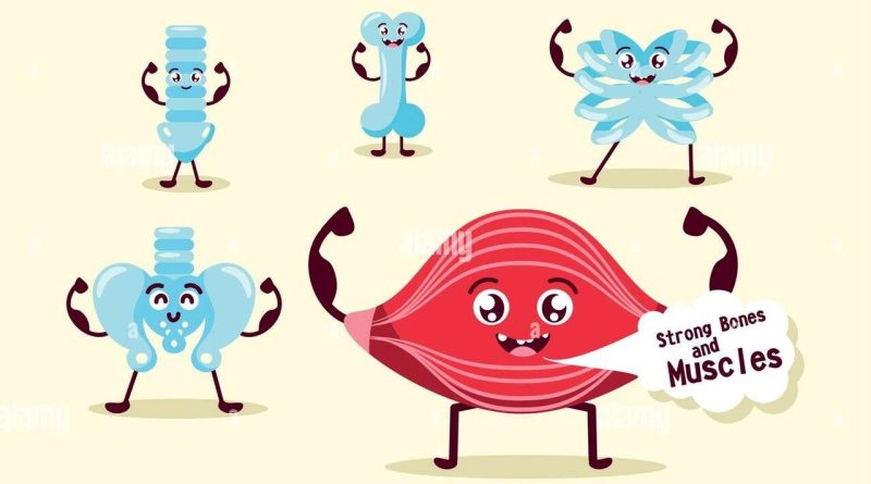 هر اندام دوستدار چه ورزشی است؟/ بررسی علمی تأثیر ورزش بر اندام‌های حیاتی؛ از پیاده‌روی تا خنده و مدیتیشن