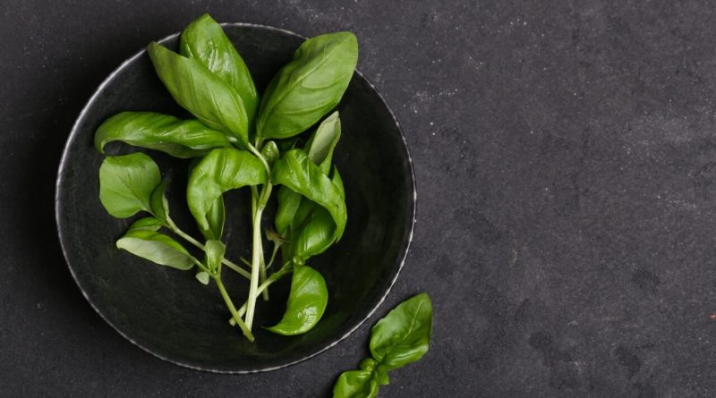 هفت دمنوش‌ مناسب برای رفع خستگی