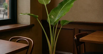 یه تکه از طبیعت توی خونه‌ت