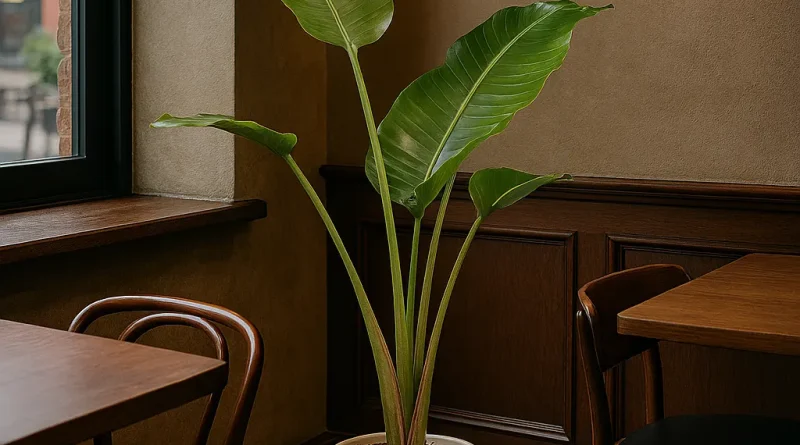 یه تکه از طبیعت توی خونه‌ت